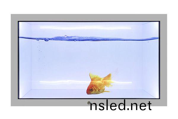 透(tou)明展示櫃(gui)